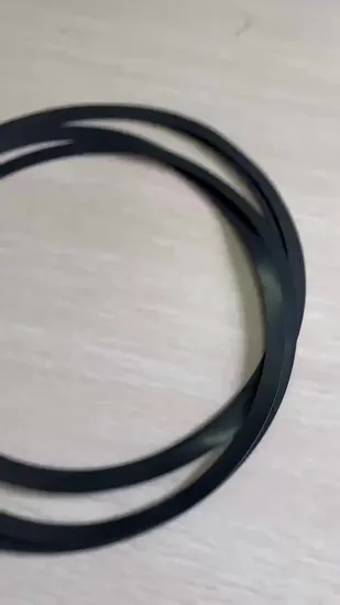Customized Oring FKM FPM Rubber O
